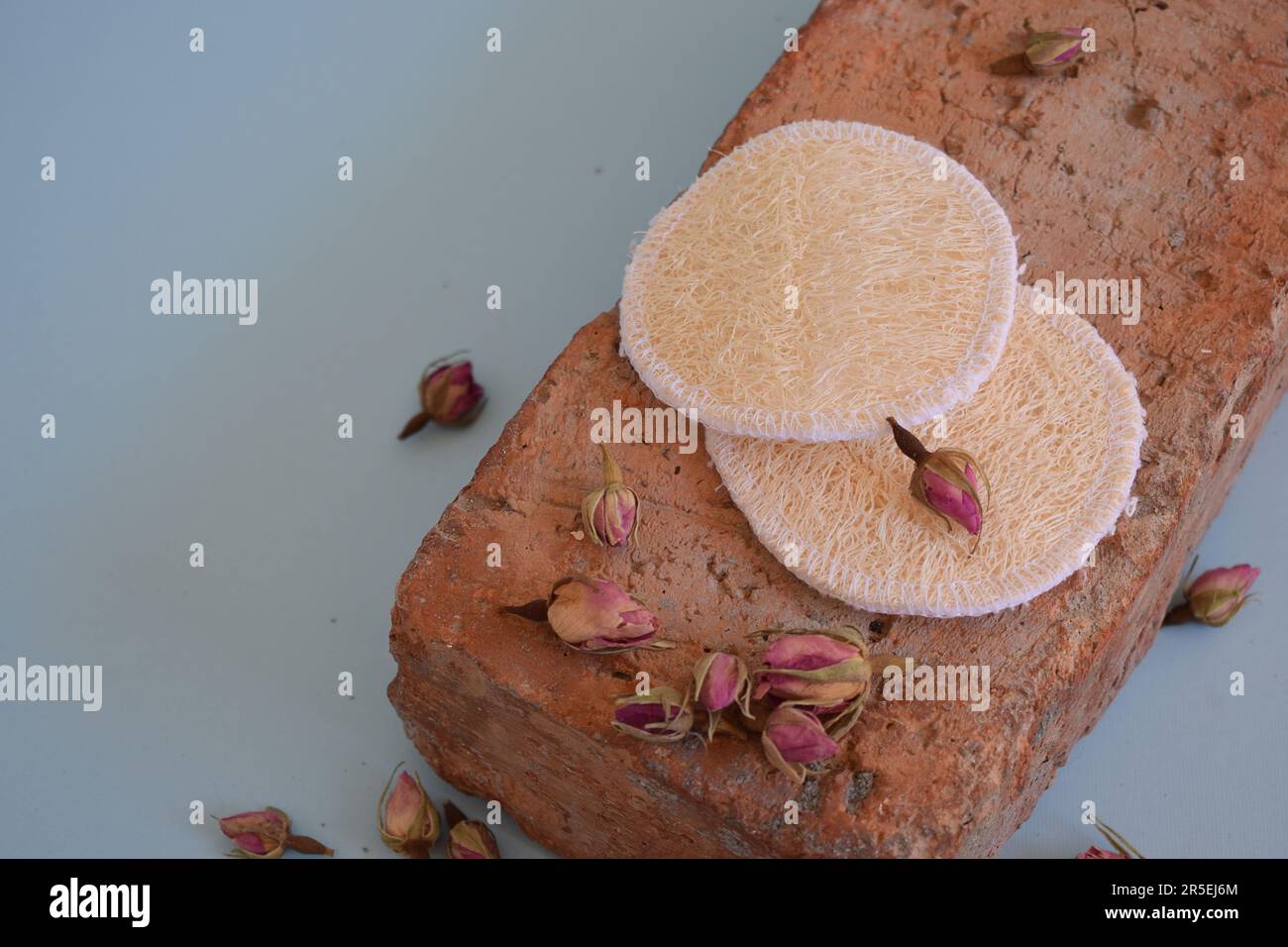 Porous organic sponge washing hi-res stock photography and images - Alamy