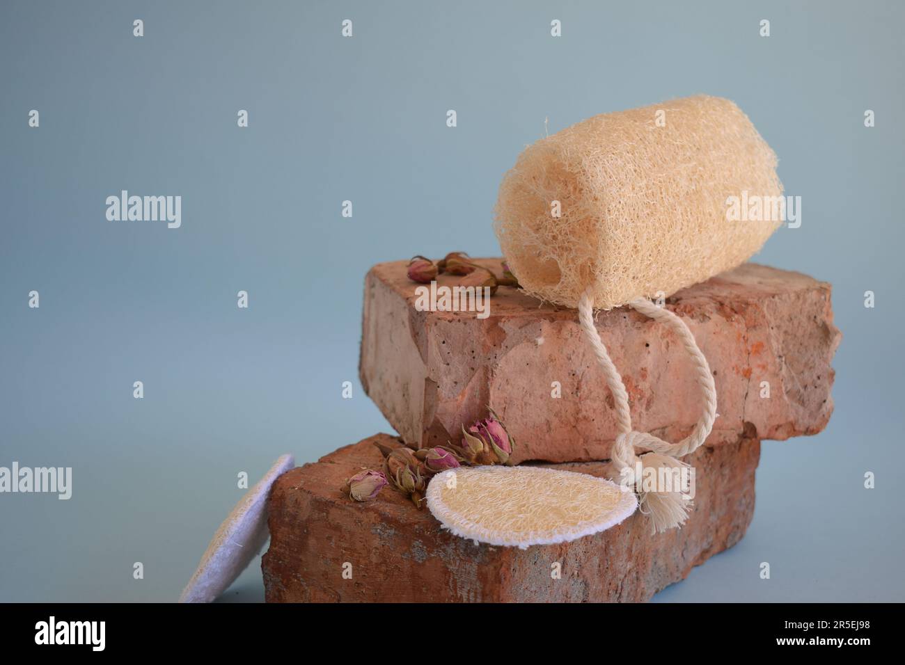 Natural Luffa Sponge. Body scrap with natural sponge Stock Photo - Alamy