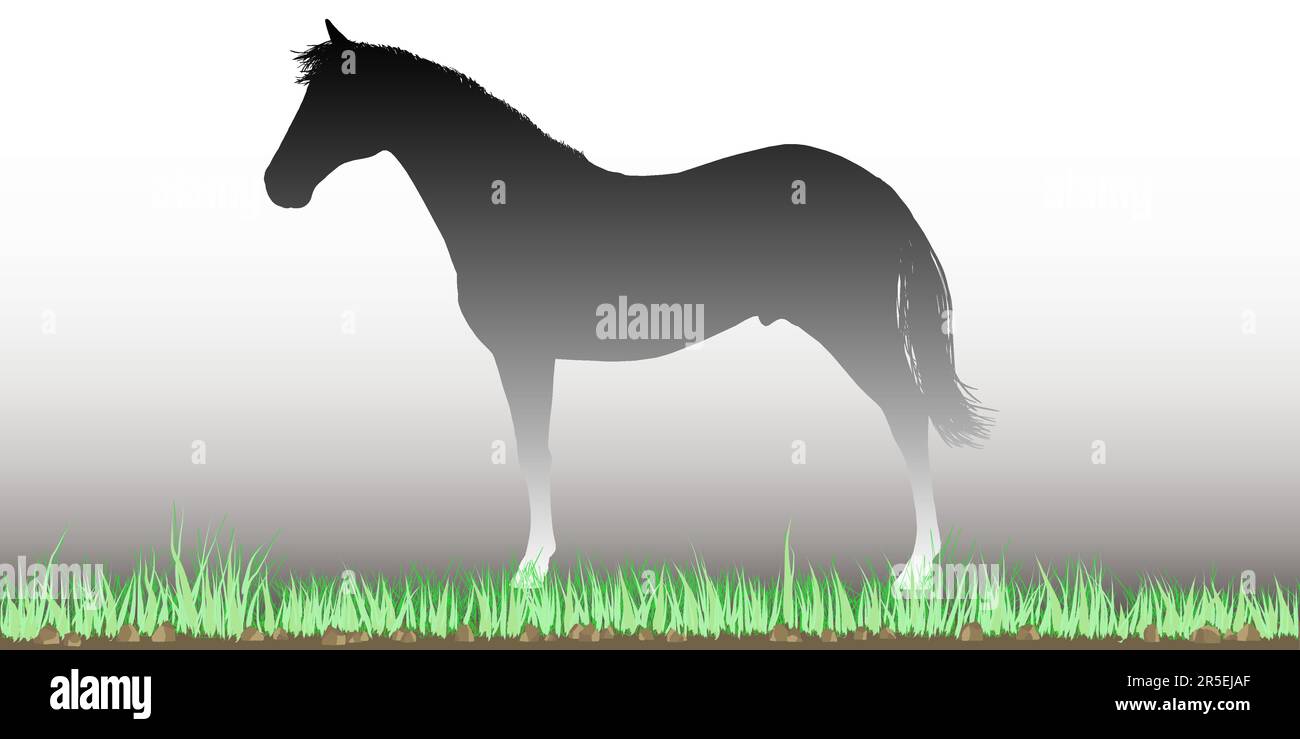Silhouette of a horse standing in a field of grass. Side view. Vector illustration. Stock Vector