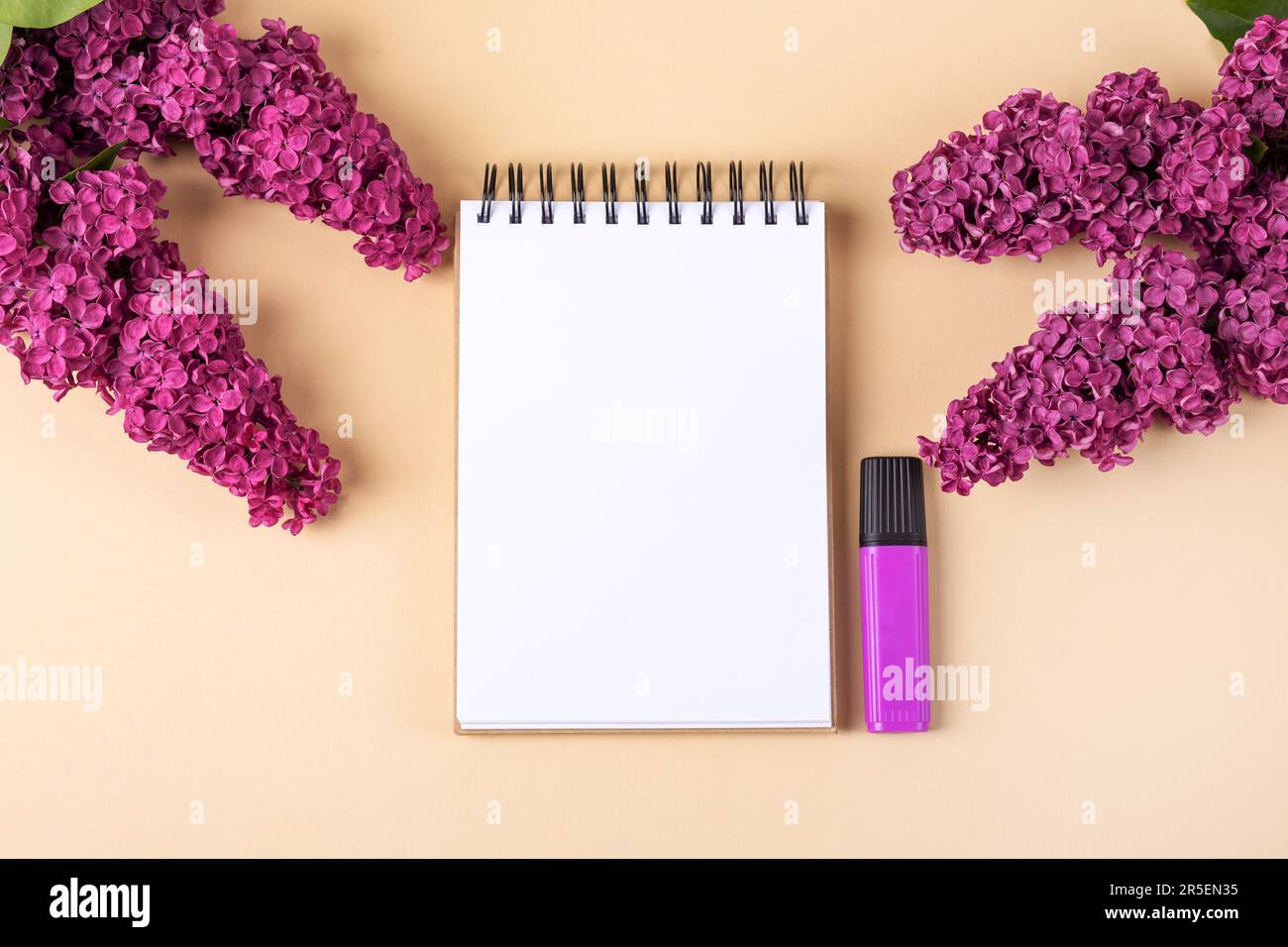 Notebook with clean page with spring purple lilac flowers and marker on orange background. Flat lay style. Stock Photo