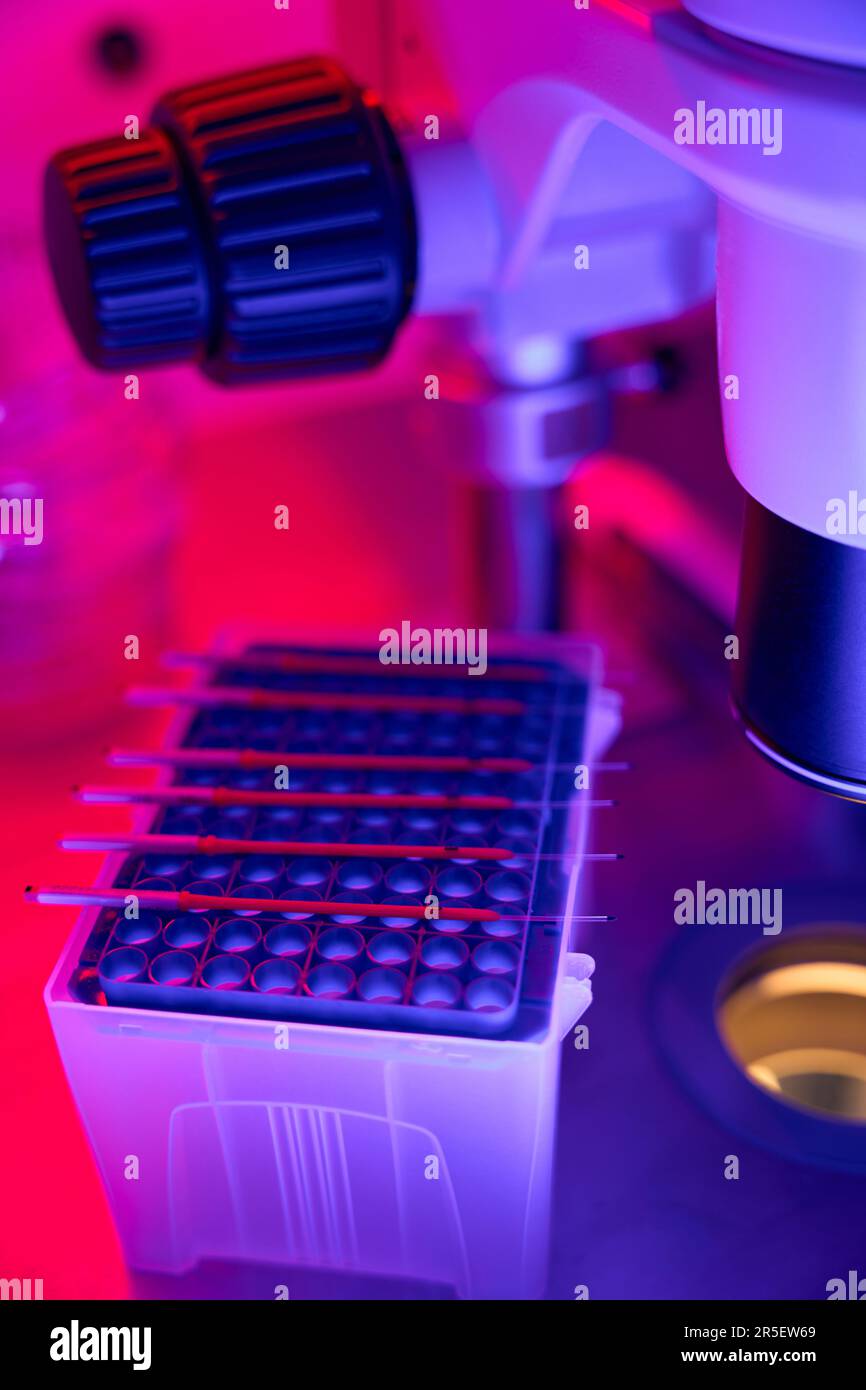 Blood samples lying on cell culture surface, enzymelinked immunosorbent assay Stock Photo Alamy
