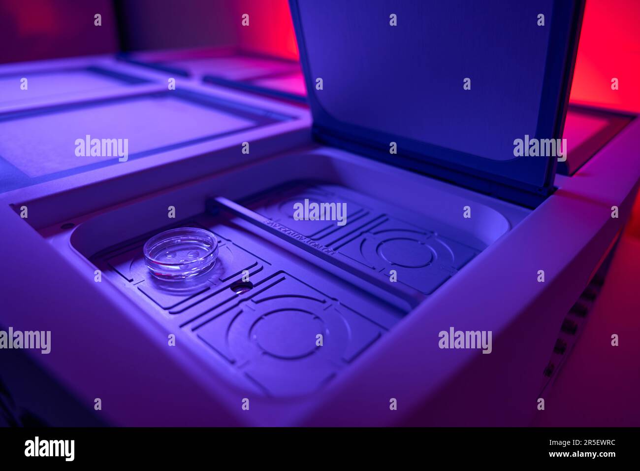 Open chamber of dry IVF multiroom incubator for embryo culture Stock