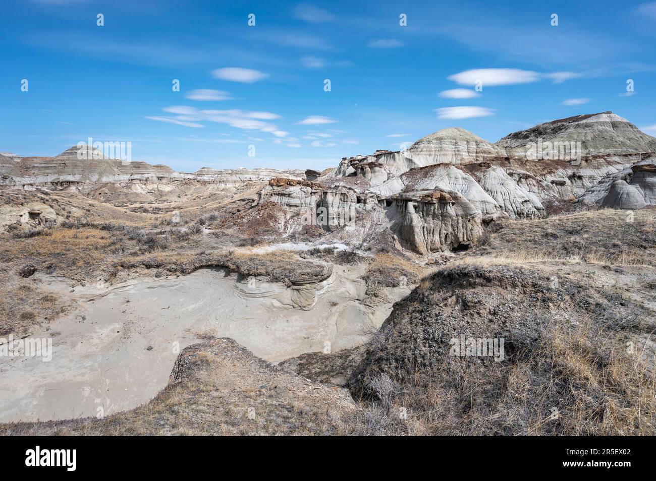 Eroded land formations in Dinosaur Provincial Park, Alberta, Canada Stock Photo