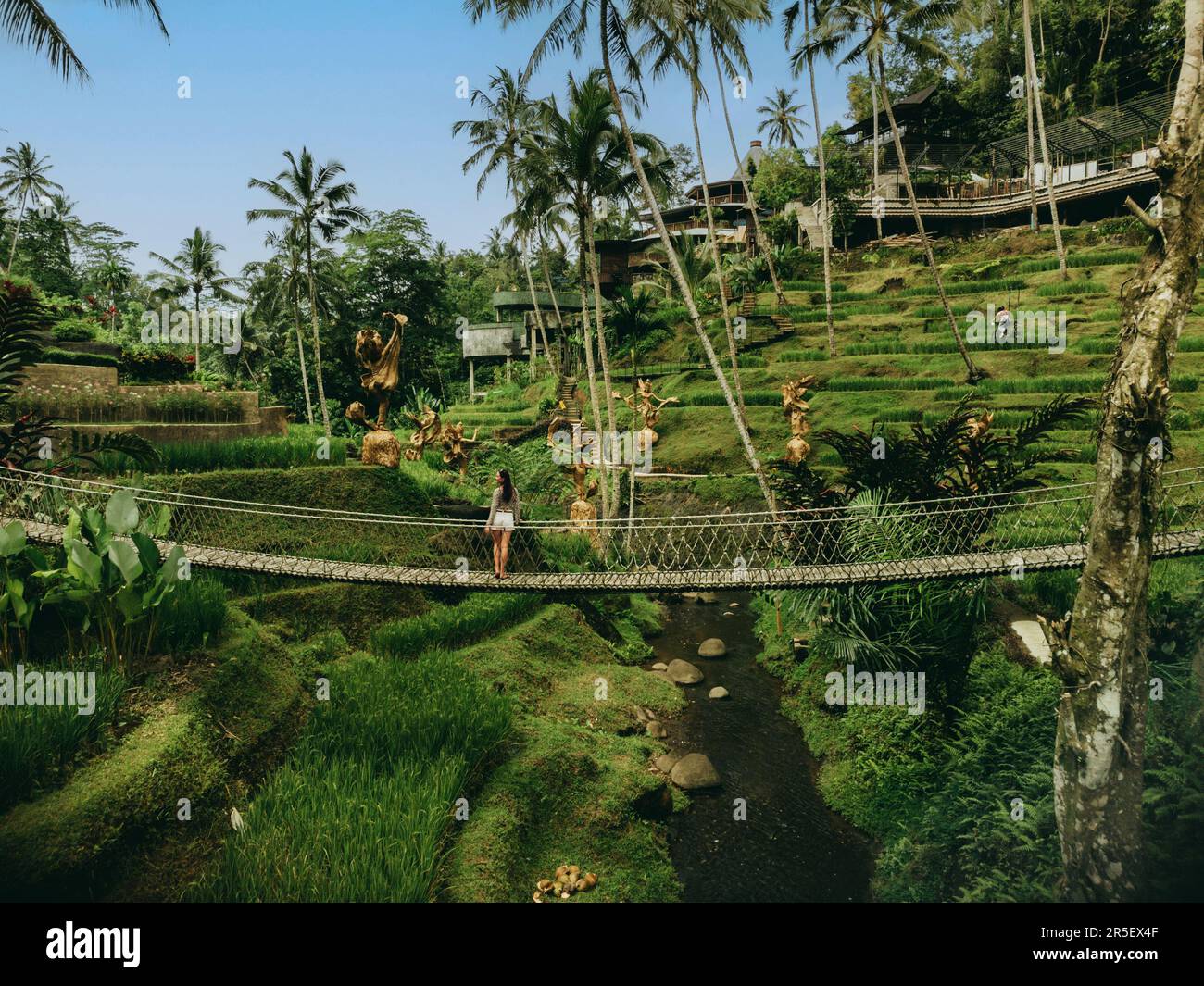 Aerial view of Bali rice terraces bridge with beautiful woman on Bali ...