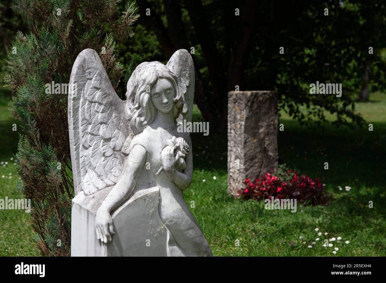 Stone white angel on cemetery, tombs in green nature, pensive mood, mourning concept. Stock Photo