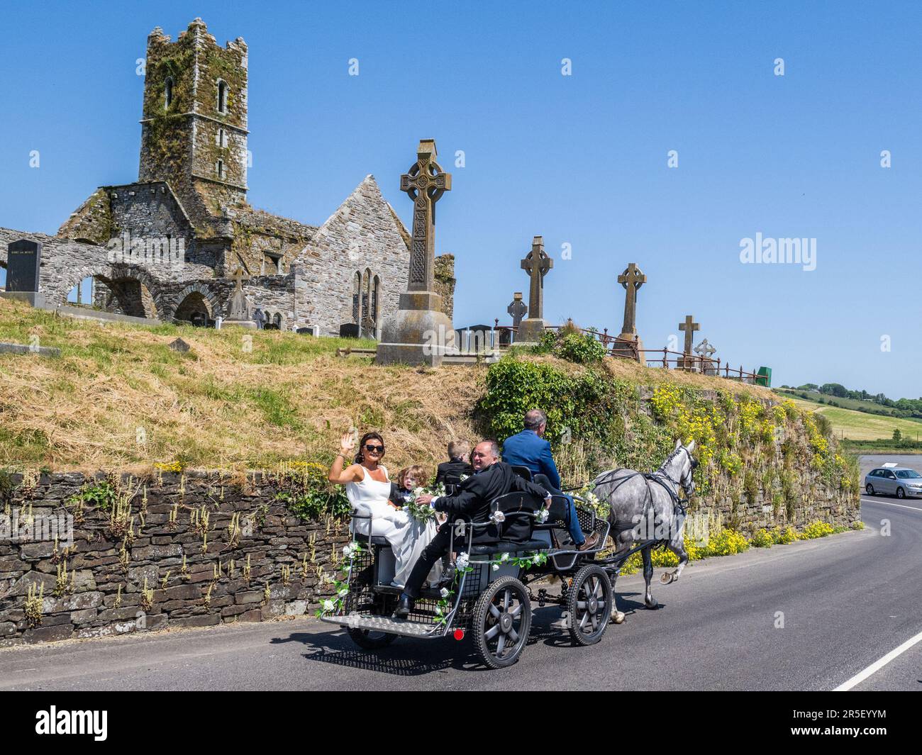 Timoleague, West Cork, Ireland. 3rd June, 2023. On a hot, sunny day in Timoleague, Bride-to-be, Laura O'Donovan from Timoleague, is driven past Timoleague Franciscan Friary to her wedding to Cillian Cullinane by carriage driver Denis O'Donoghue, being pulled by 'Stella' the Irish Draught horse. Credit: AG News/Alamy Live News Stock Photo