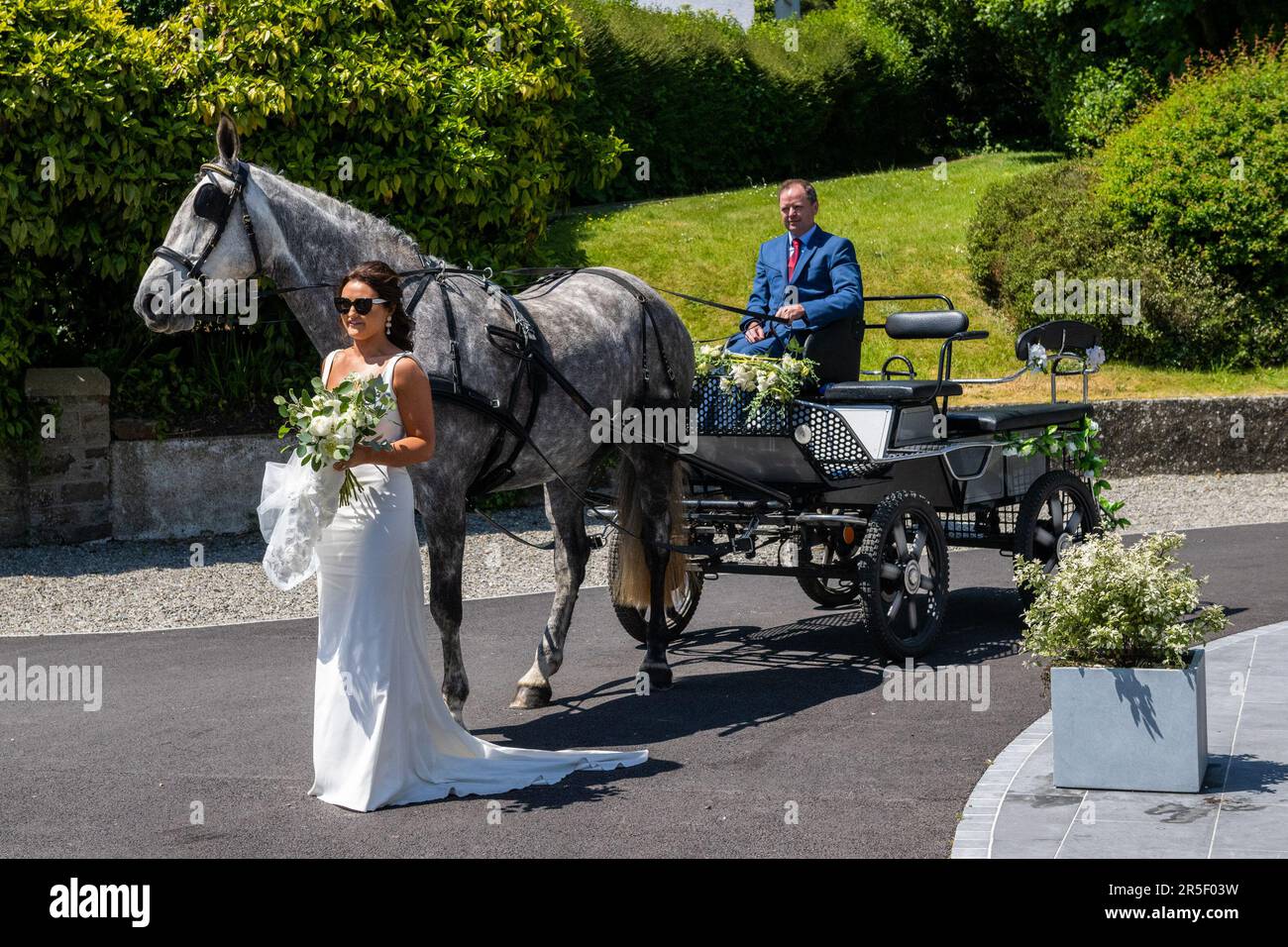 Timoleague, West Cork, Ireland. 3rd June, 2023. On a hot, sunny day in Timoleague, Bride-to-be, Laura O'Donovan from Timoleague, arrives at her wedding to Cillian Cullinane by carriage driver Denis O'Donoghue, being pulled by 'Stella' the Irish Draught horse. Credit: AG News/Alamy Live News Stock Photo
