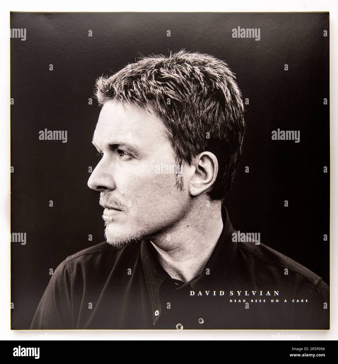 David Sylvian　未開封LP　3タイトル レコード David Sylvian 未開封LP 3タイトル レコード