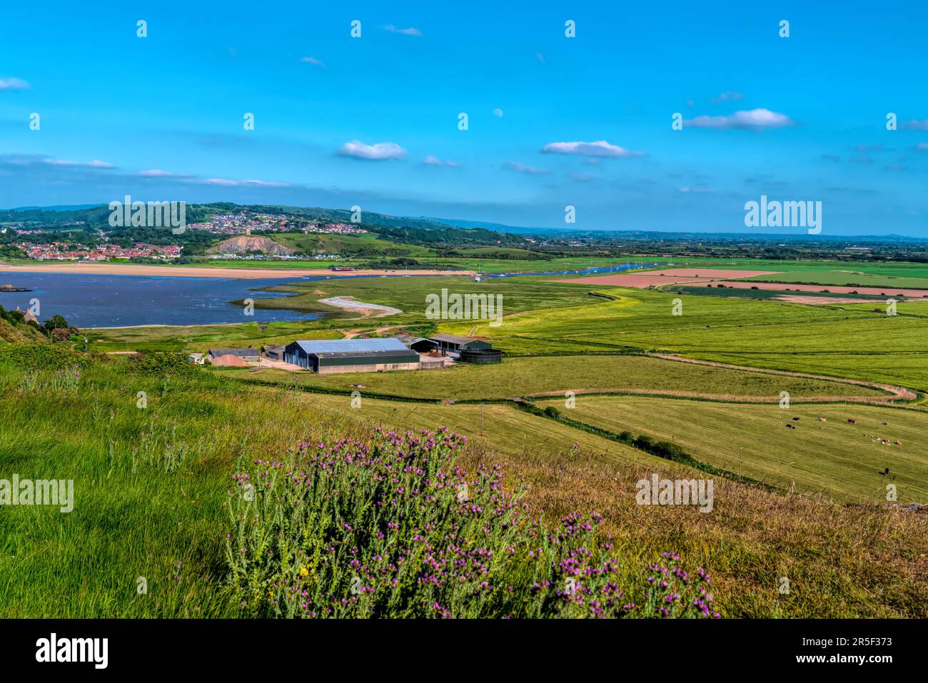 Brean Down view to Bleadon and the River Axe Somerset England UK with countryside, fields and pink flowers Stock Photo