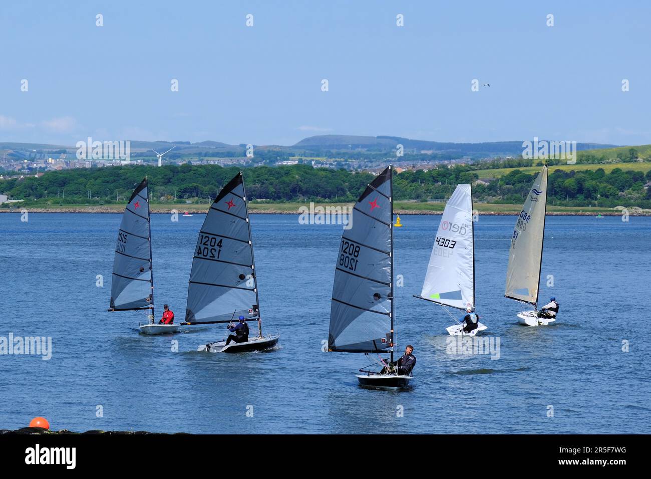 South Queensferry, Scotland, UK. 3rd Jun 2023. A hive of activity at