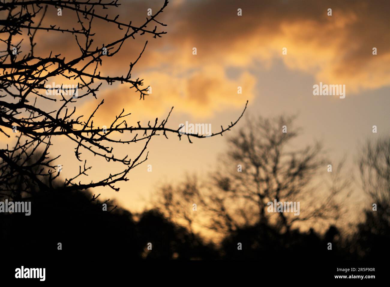 Sunset scene hi-res stock photography and images - Alamy