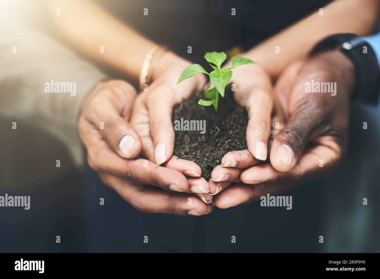 Our business in its infancy stage. a group of people holding plants