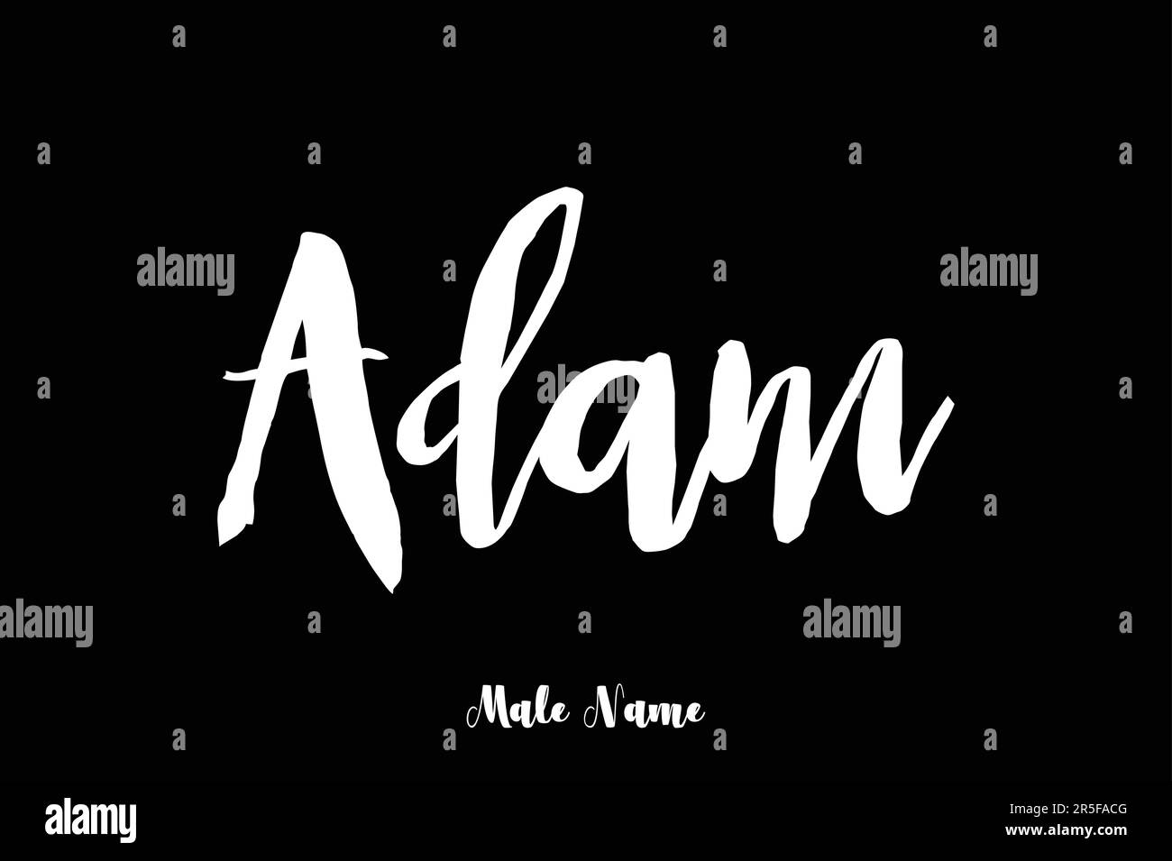 Male Name Stylish Bold Grunge Typography Text Lettering Vector Design male-name-stylish-bold-grunge-typography-text-lettering-vector-design