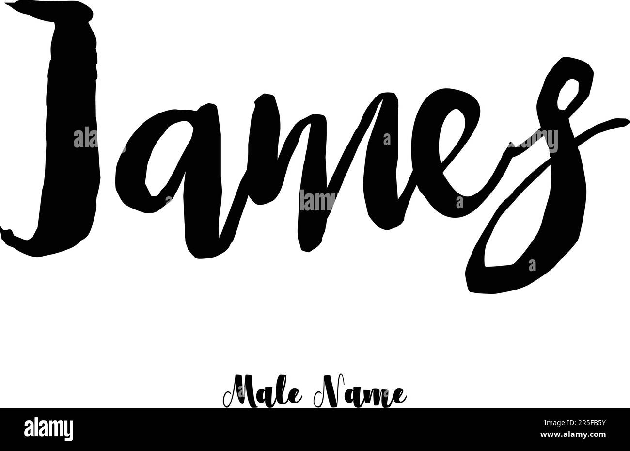 Male Name Stylish Bold Grunge Typography Text Lettering Vector Design Stock Vector
