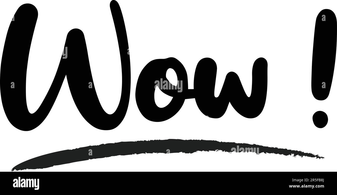 Stylish Typography Text Lettering Phrase Vector Design Stock Vector ...