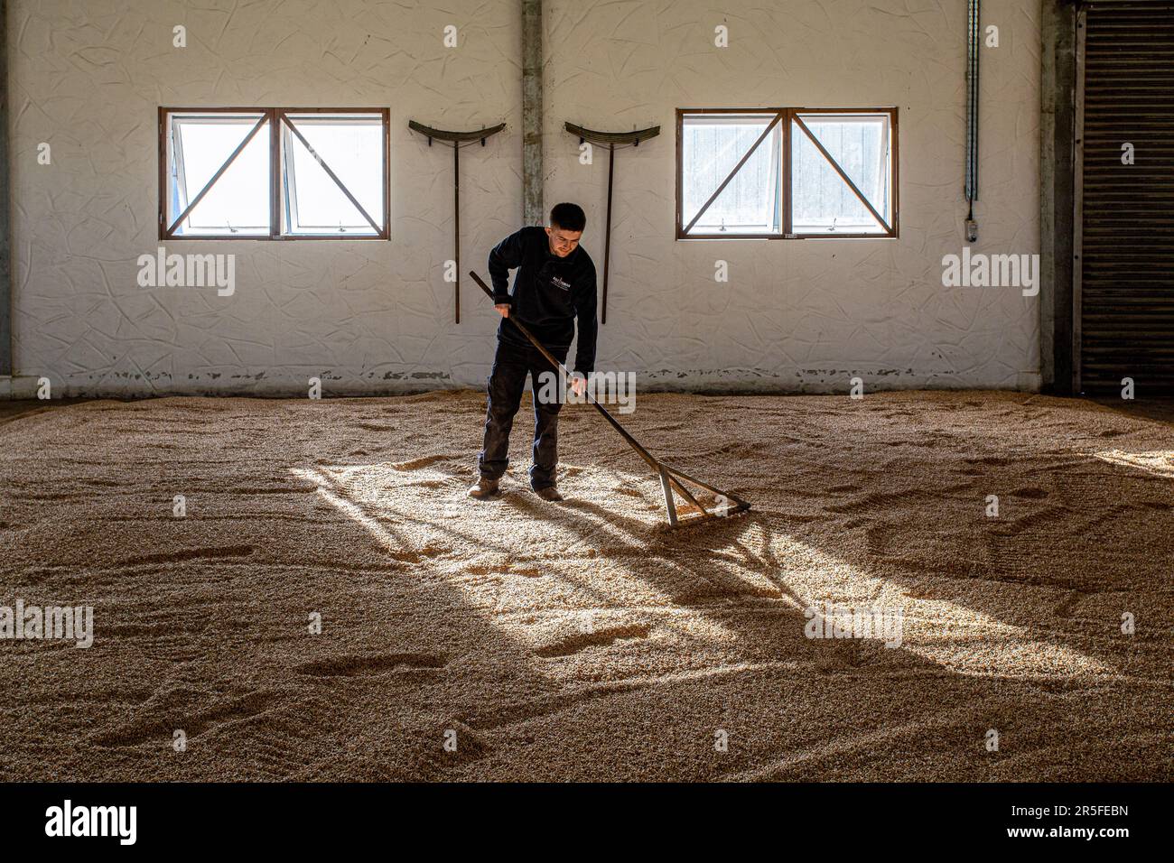 Traditional malting floor Kilchoman distillery , Islay, Scotland Stock Photo