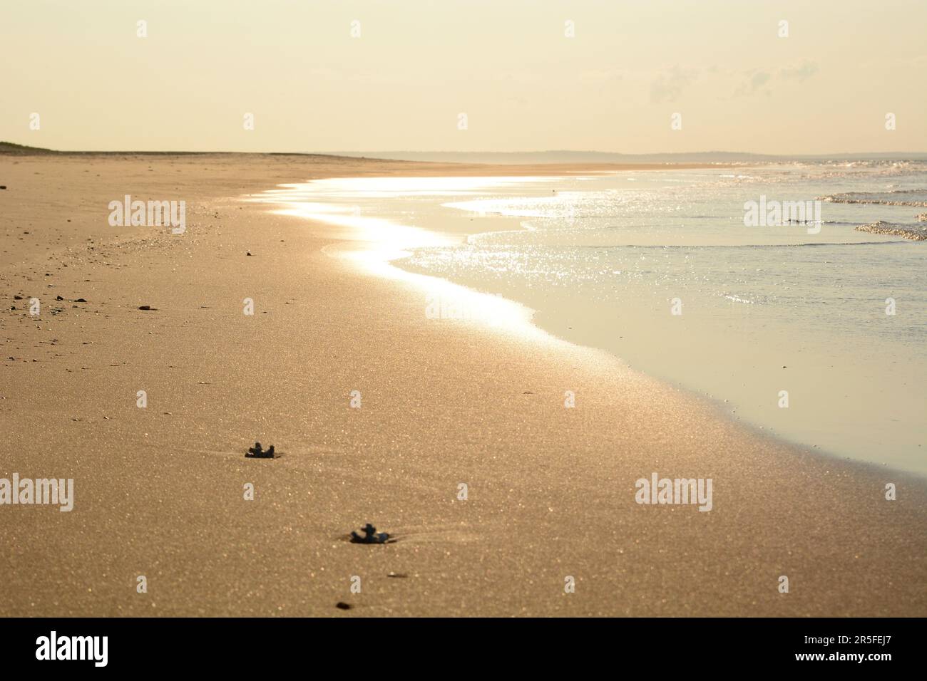 View of Barra Beach. Inhambane. Mozambique Stock Photo