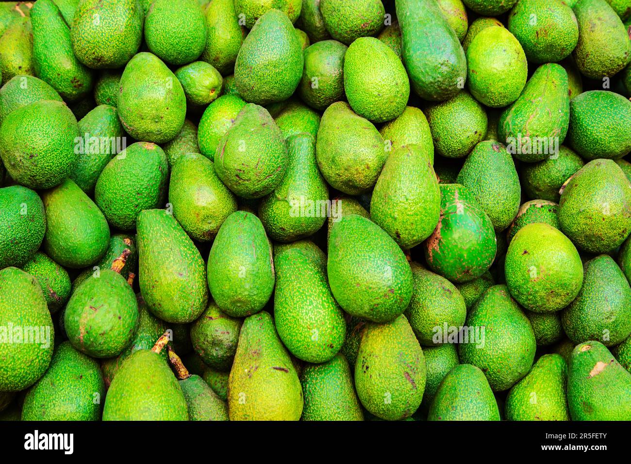 Overhead shot of four green avocados in a rectangular shaped straw fruit  basket Stock Photo - Alamy