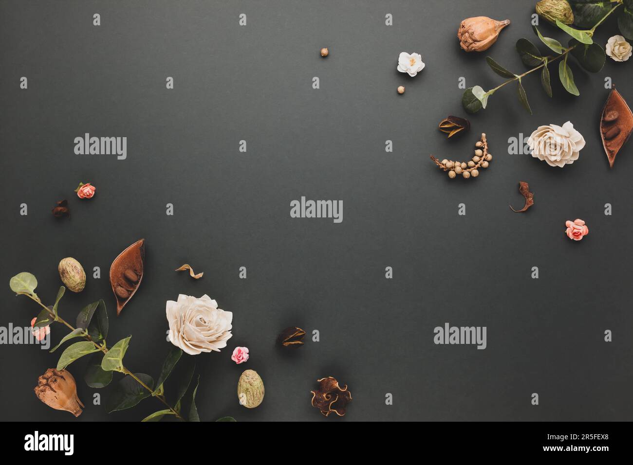 Autumnalwinter concept with dried flowers, branches of eucalyptus