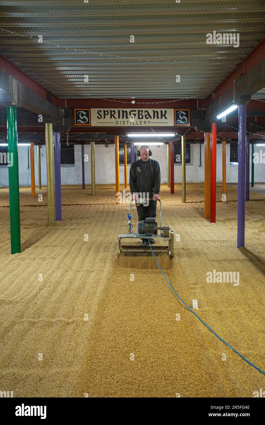 Springbank distillery floor maltings, Campbeltown, Scotland, United Kingdom Stock Photo