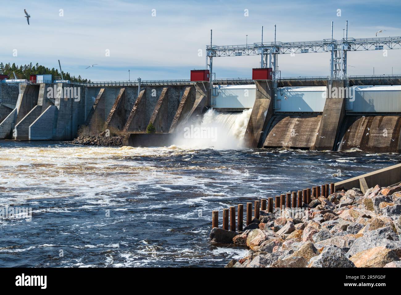 A hydropower plant releases excess water and seagulls search for food in the flowing water, image from the Ljusne strömmar power plant in Söderhamn mu Stock Photo