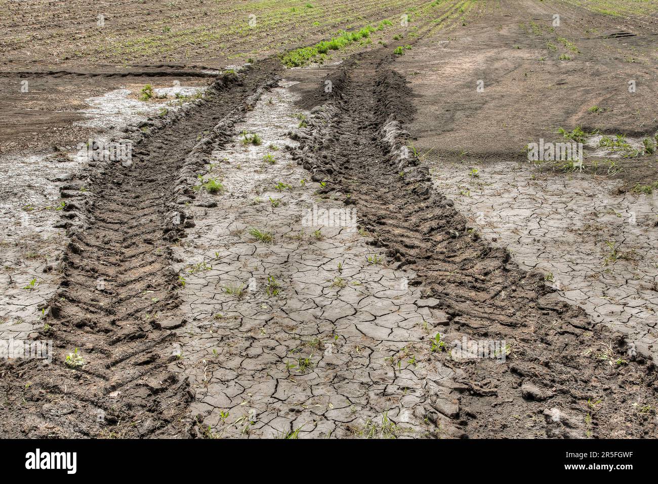 After heavy rain, deep tire tracks of a tractor are visible on the eroded field, indicating soil erosion. Stock Photo