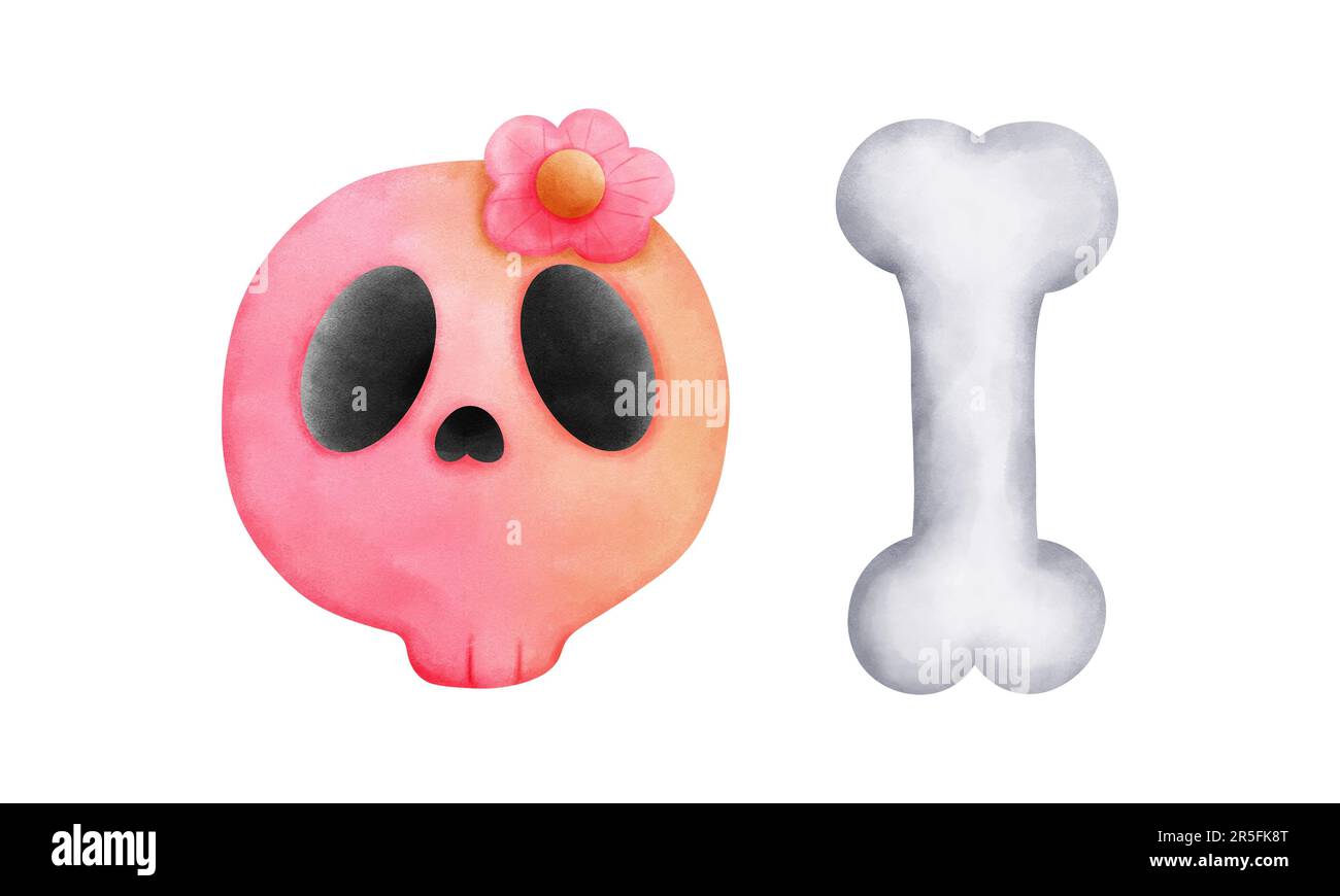 Watercolor cute skull with pink flower and bone illustration isolated on white background.Happy halloween element decorations. Stock Photo