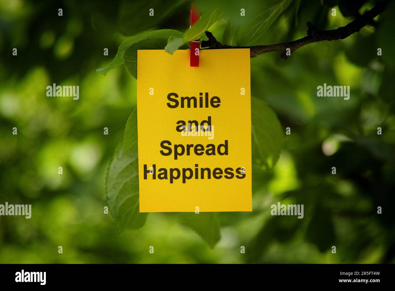 A yellow paper note with the words Smile and Spread Happiness on it attached to a tree branch with a clothes pin. Close up. Stock Photo
