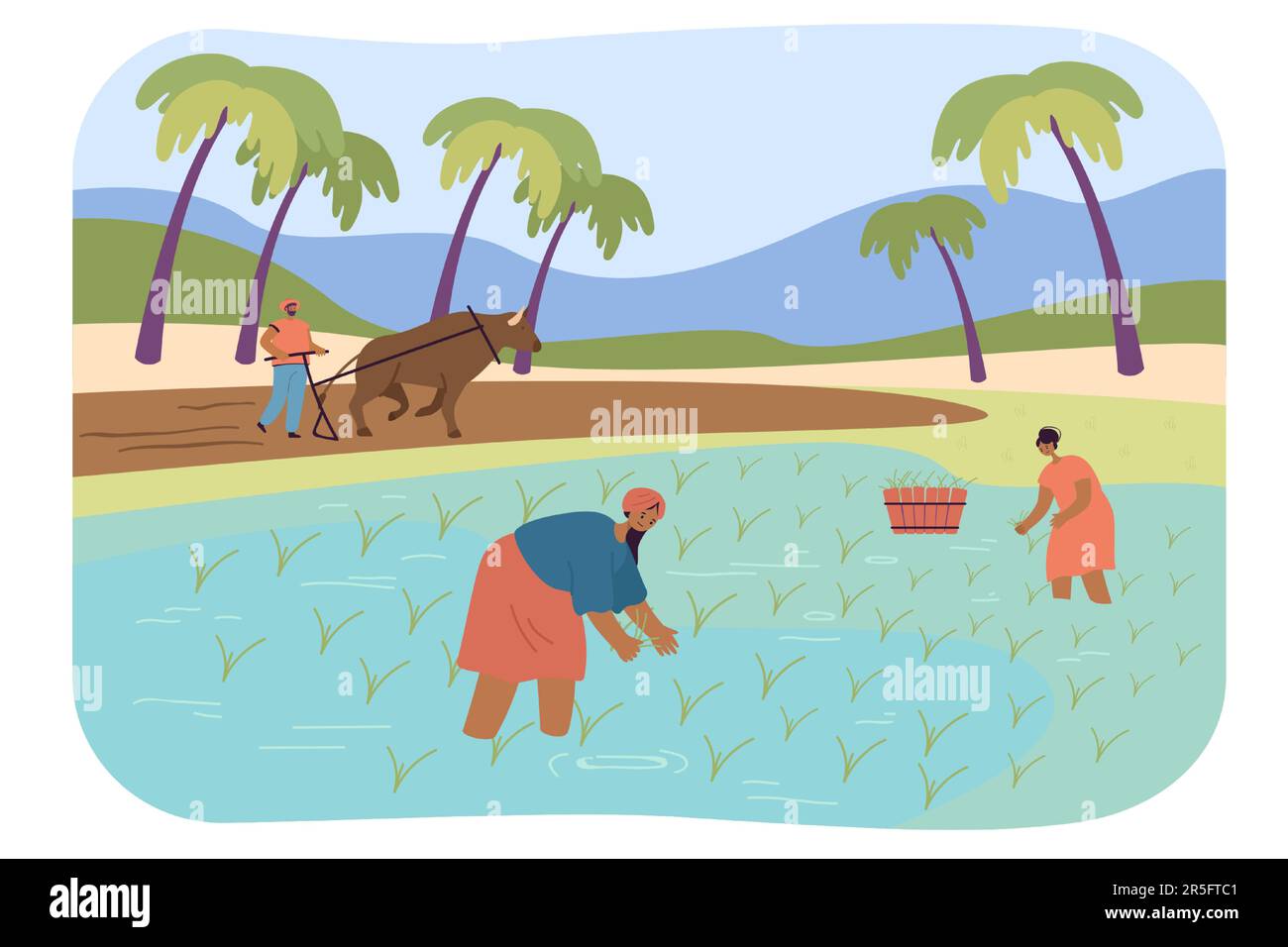 Indian farmers harvesting paddy in field with water Stock Vector