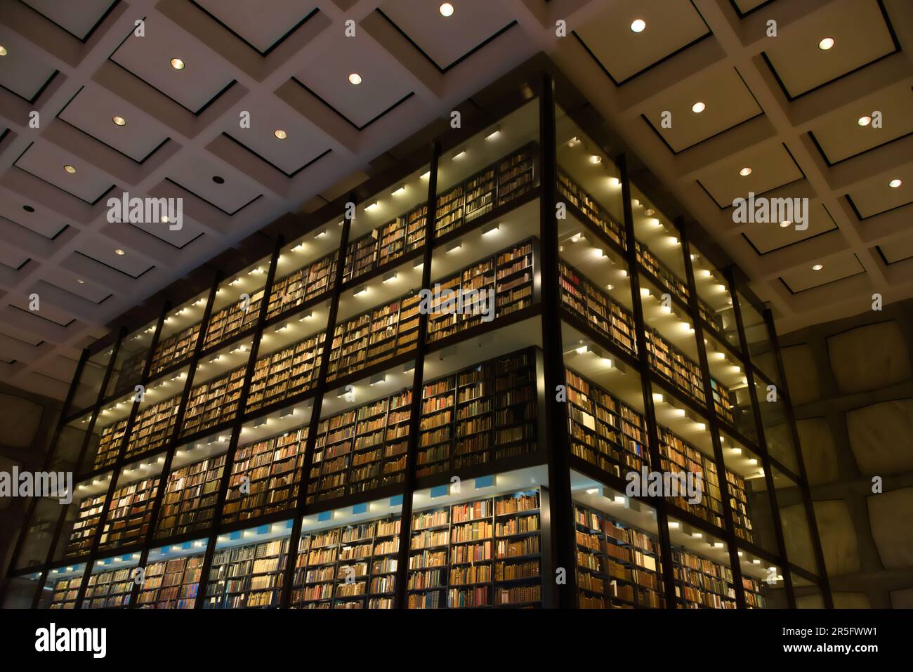 A vault of rare and treasured books catalogued and displayed in a sealed glass tower at the