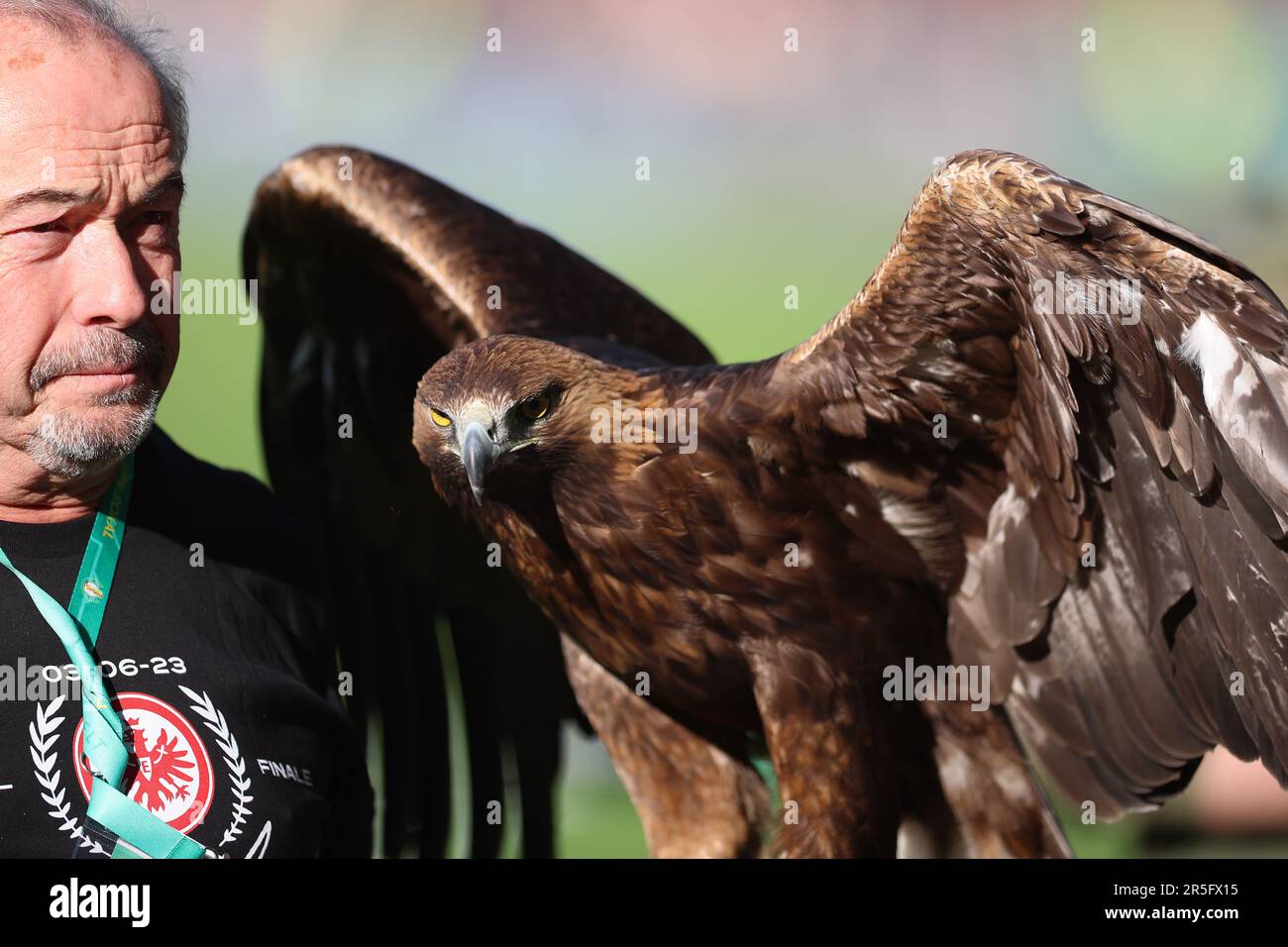 Berlin, Germany. 03rd June, 2023. Soccer: DFB Cup, RB Leipzig - Eintracht Frankfurt, final at the Olympiastadion, falconer Norbert Lawitschka stands with Frankfurt's mascot golden eagle 'Attila' on the pitch before the game. IMPORTANT NOTE: In accordance with the requirements of the DFL Deutsche Fußball Liga and the DFB Deutscher Fußball-Bund, it is prohibited to use or have used photographs taken in the stadium and/or of the match in the form of sequence pictures and/or video-like photo series. Credit: Jan Woitas/dpa/Alamy Live News Stock Photo