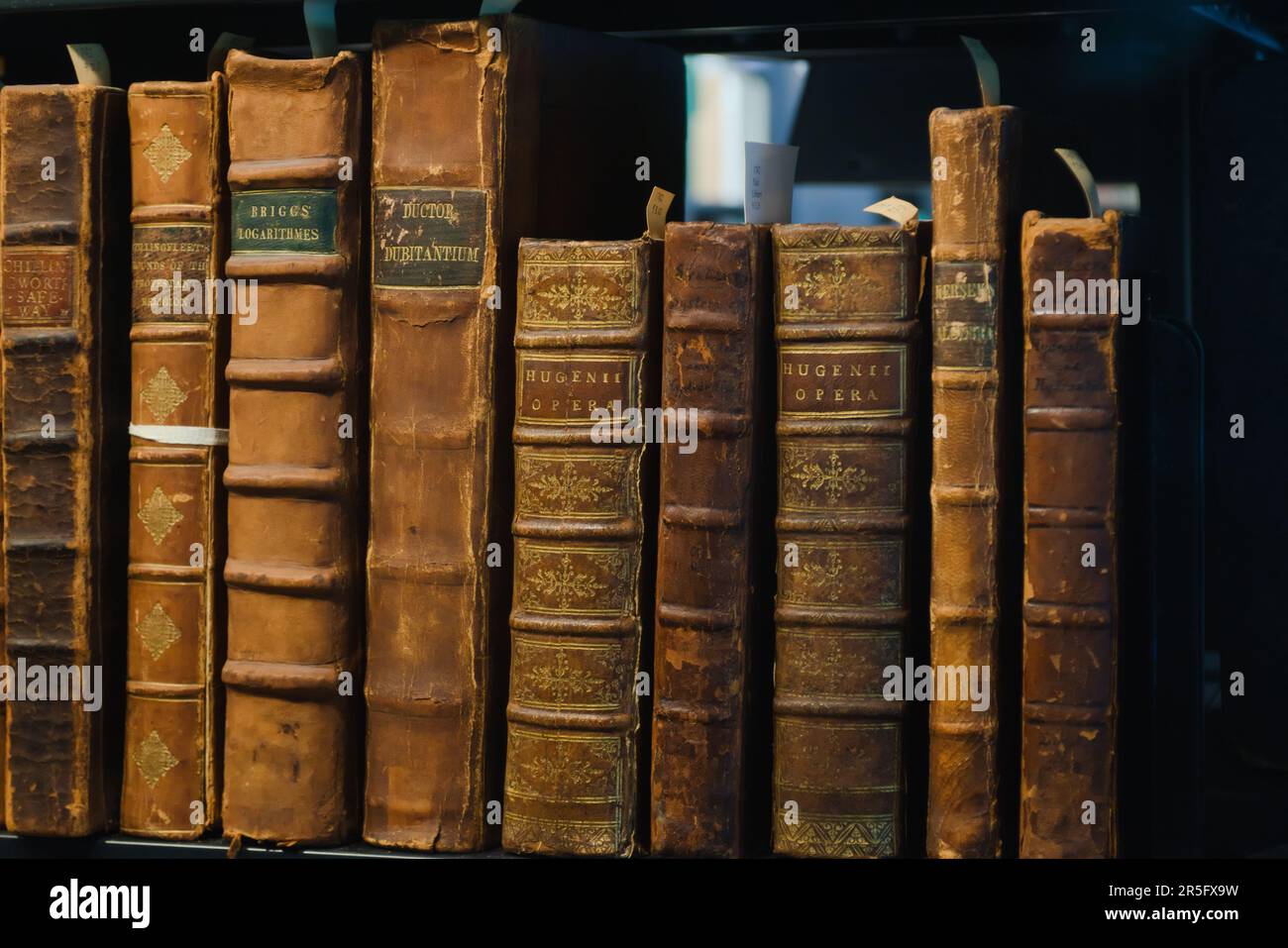 A shelf of rare and treasured books catalogued and displayed at the