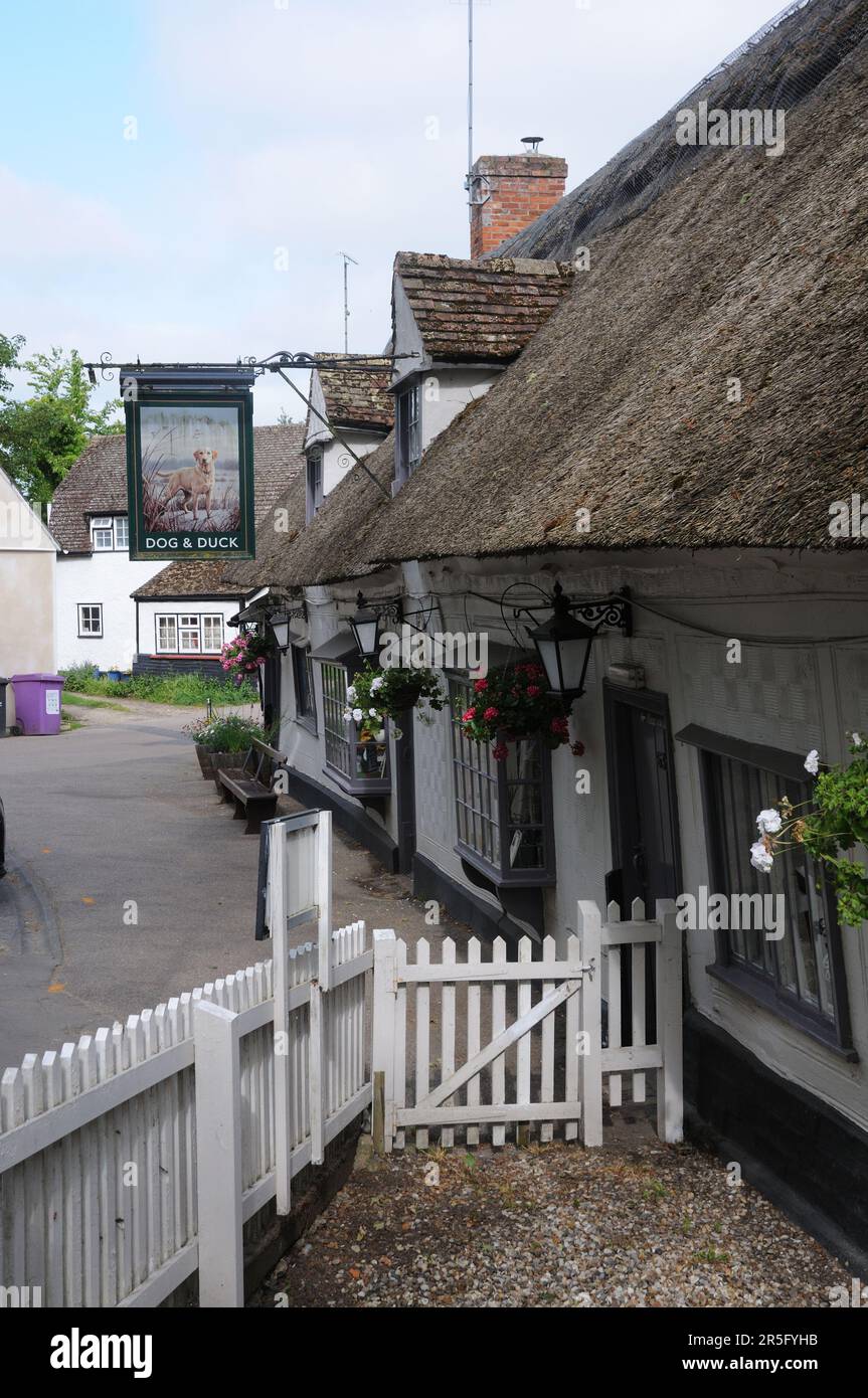 Dog & Duck inn, High Street, Linton, Cambridgeshire Stock Photo Alamy