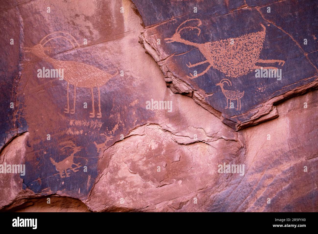 Anasazi Suns Eye petroglyphs at Monument Valley Navajo Tribal Park, Arizona, USA Stock Photo