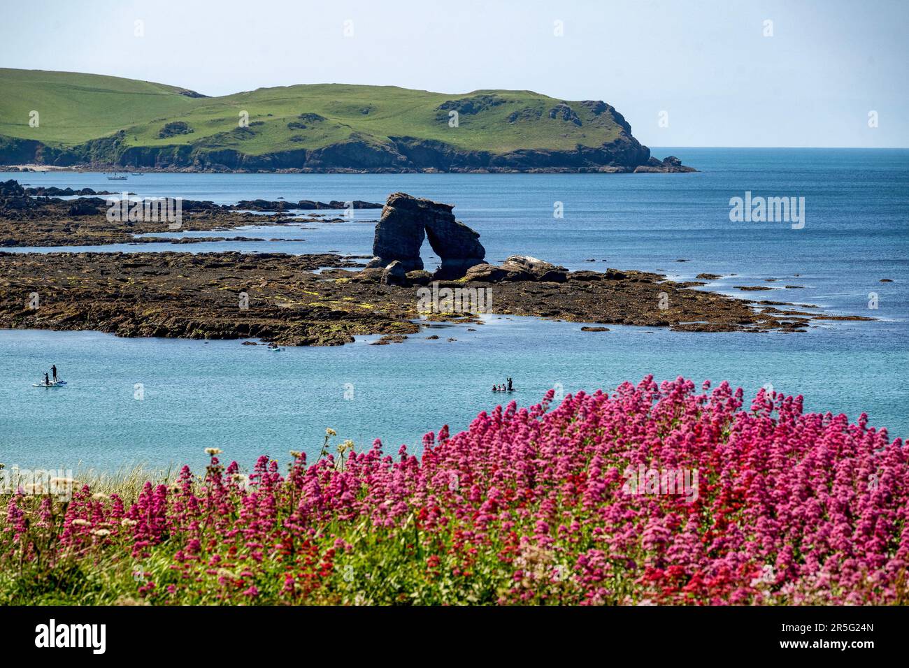 03.06.23. DEVON WEATHER. People make the most of the warm weather in front of Thurlestone Rock at South Milton Sands in South Devon today as temperatu Stock Photo