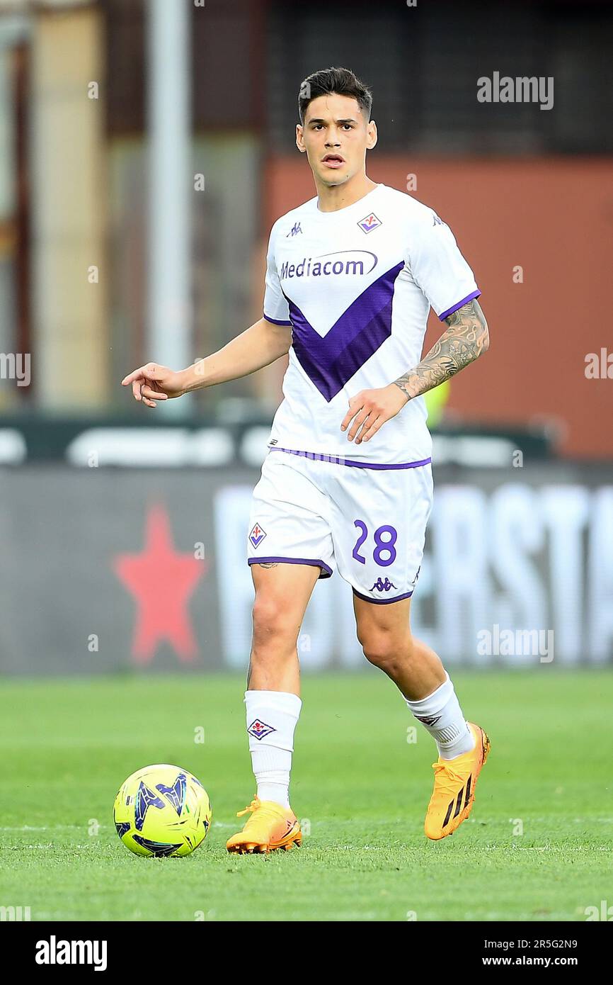 ACF Fiorentina English (ACFFiorentinaEN@) / X