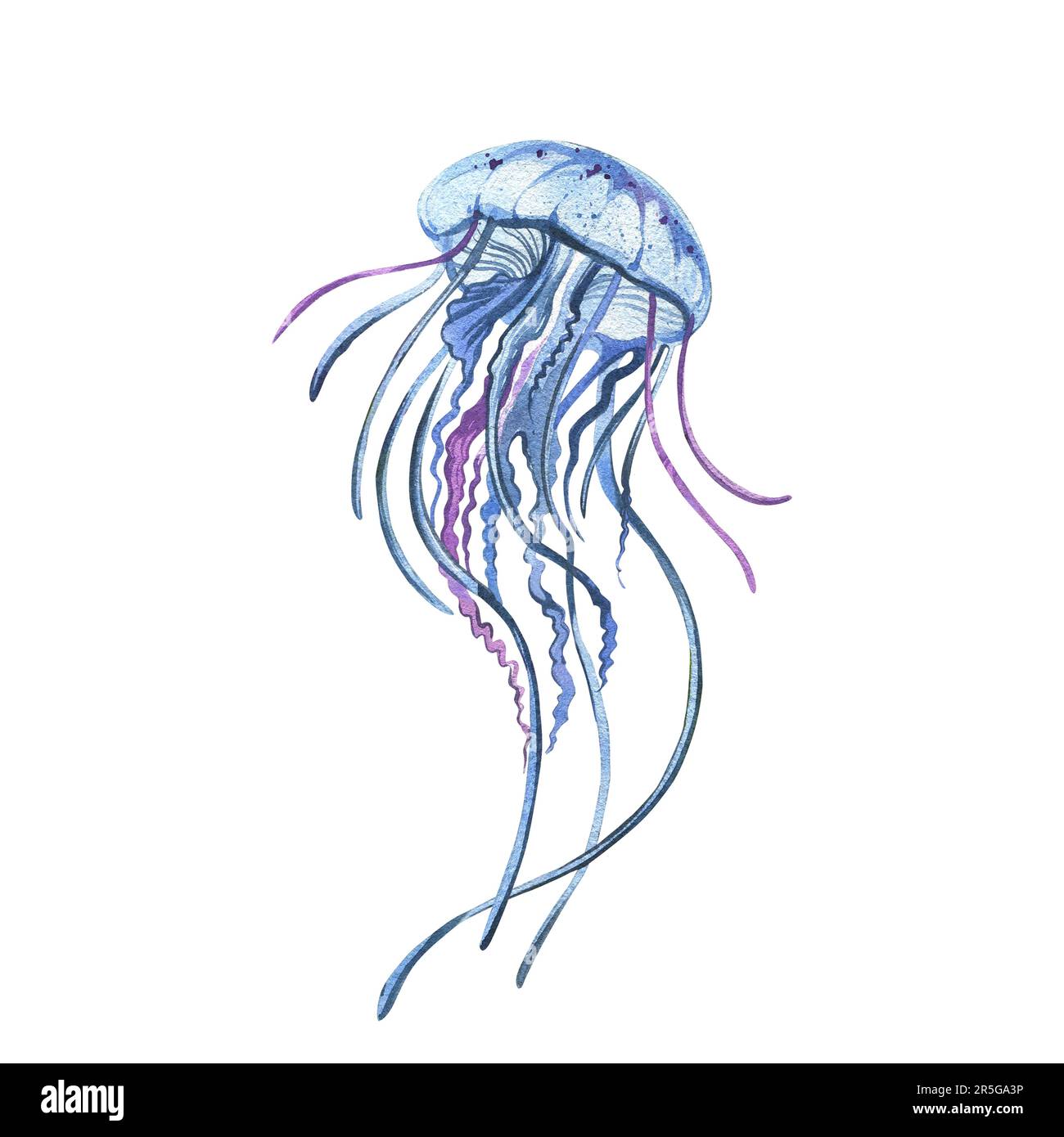 A fun Jellyfish Coloring Pages - Jellyfish Coloring Pages - Coloring Pages  For Kids And Adults