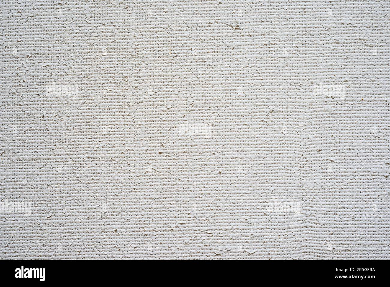 canvas primed with white with a pronounced texture Stock Photo