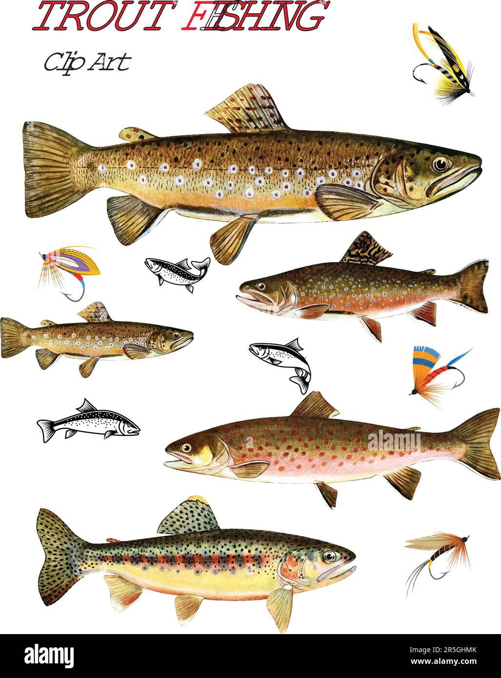 Colorful and realistic vector set of trout species, along with wet and dry flies for bait. Stock Vector