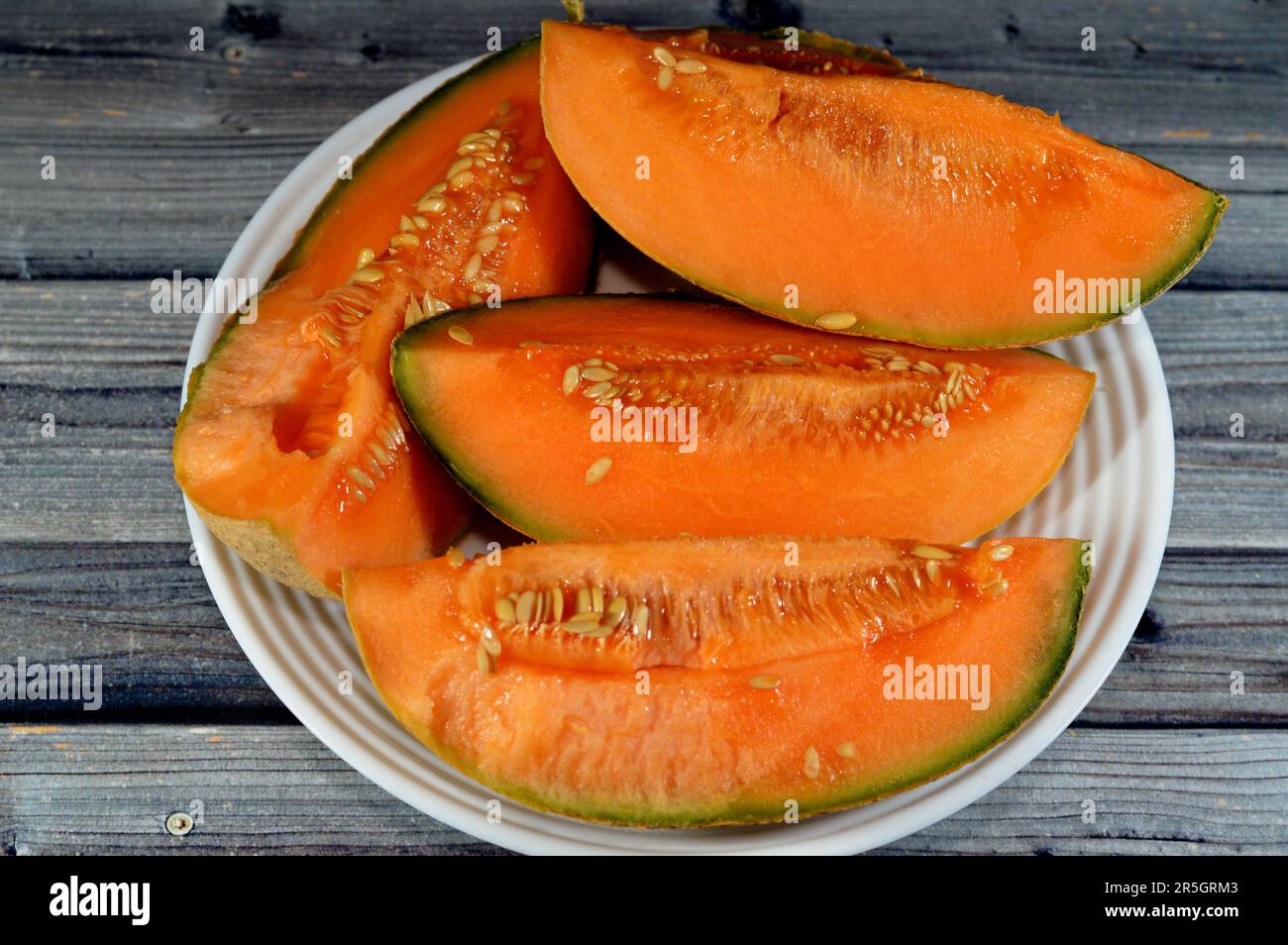 Muskmelon, Cucumis melo or melon, a species of Cucumis that has been