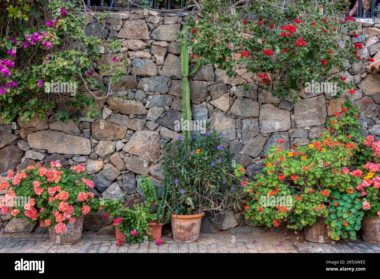 Stone wall decorated with flower pots Stock Photo