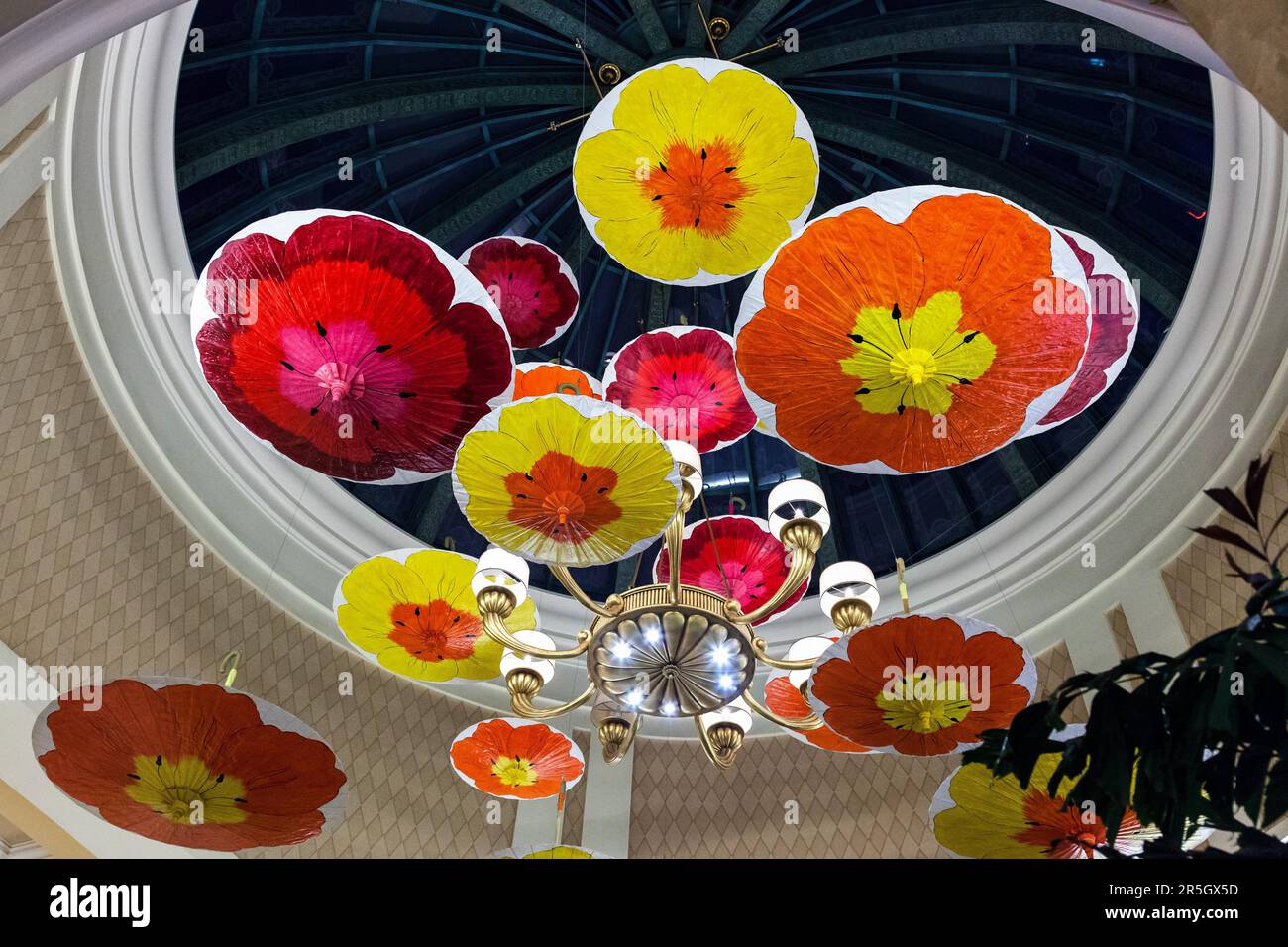 Brightly Coloured Parasols Hanging from the Ceiling Stock Photo Alamy