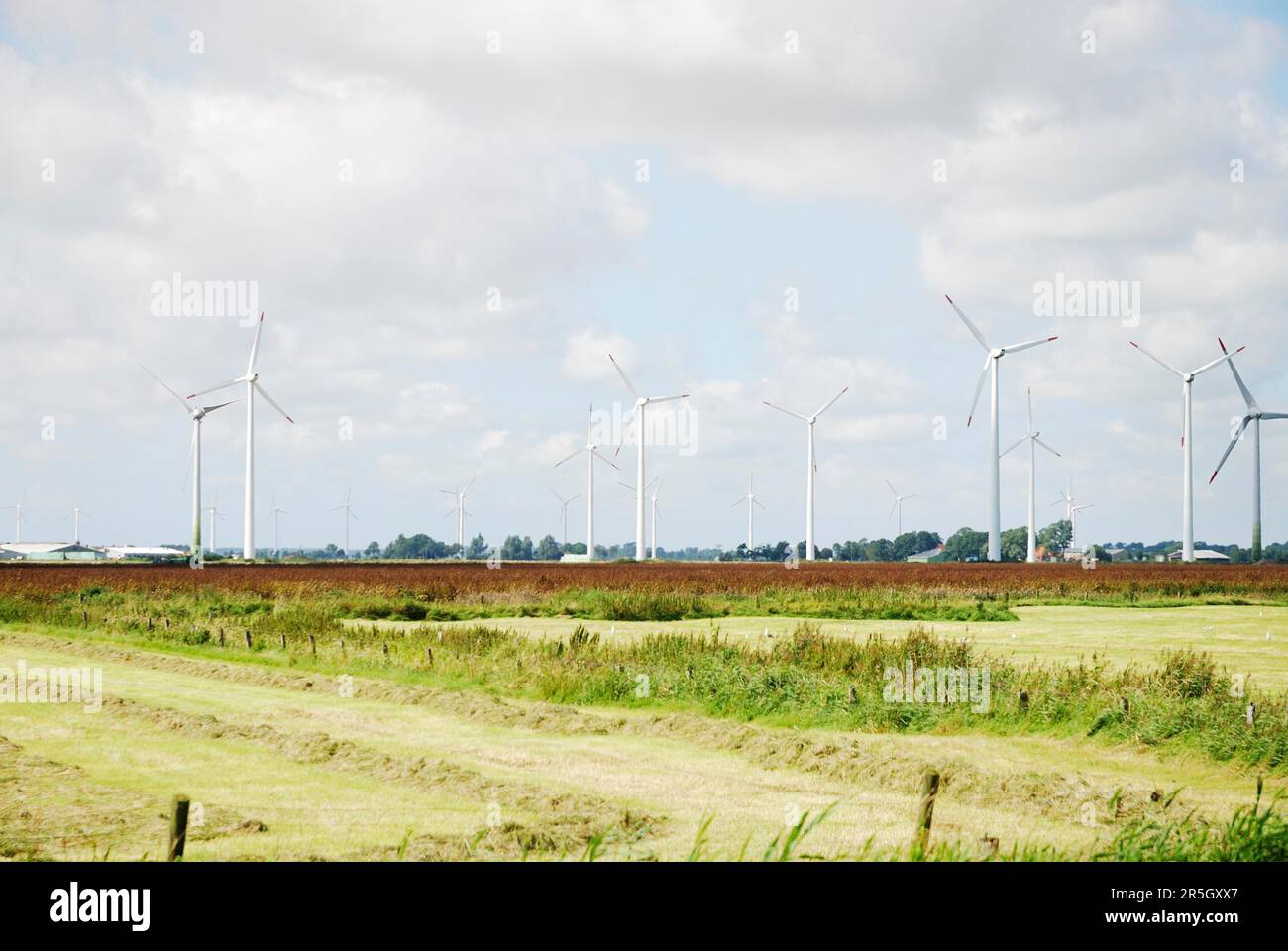 Alternative energy with wind power Stock Photo