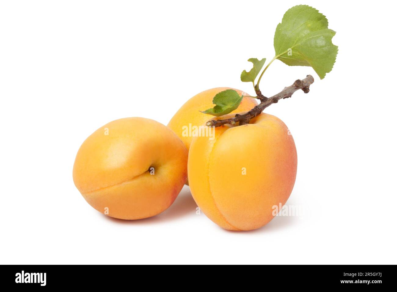 A apricots, isolated on White background Stock Photo - Alamy