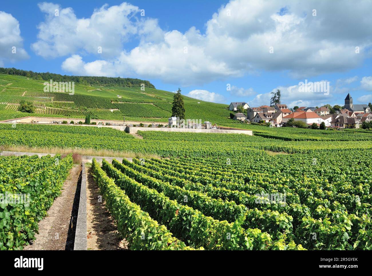 Wine village Oger near Epernay in the Champagne region, France Stock Photo