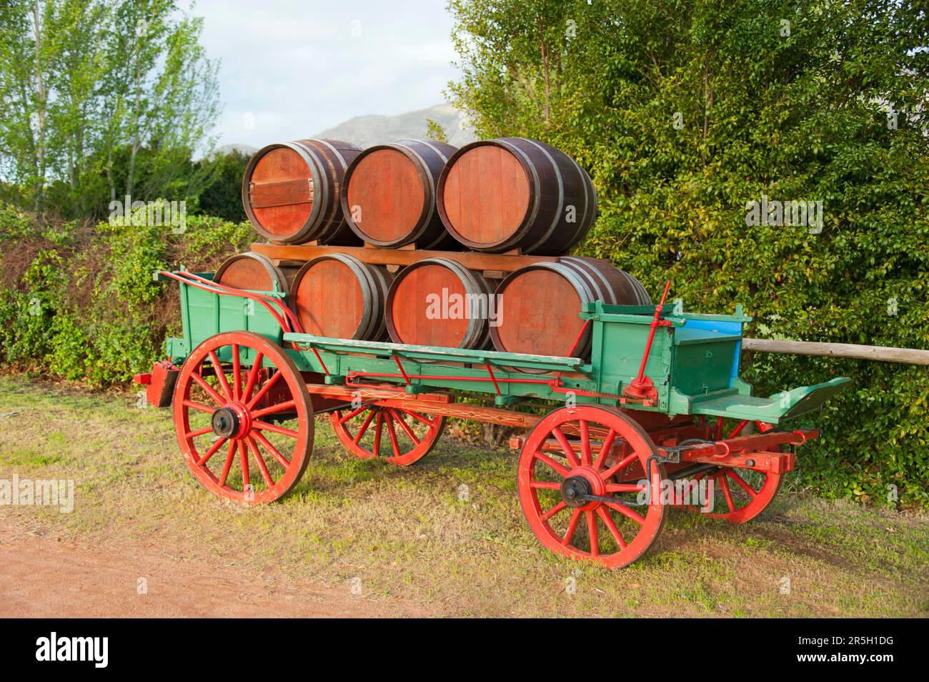 Wine barrels, wine estate, Blaauwklippen, Stellenbosch, Western Cape, South Africa, wine barrel, barrel, barrels Stock Photo