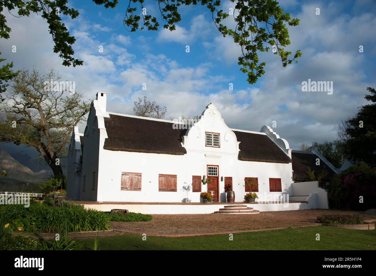 Wine Estate, Blaauwklippen, Stellenbosch, Western Cape, South Africa Stock Photo