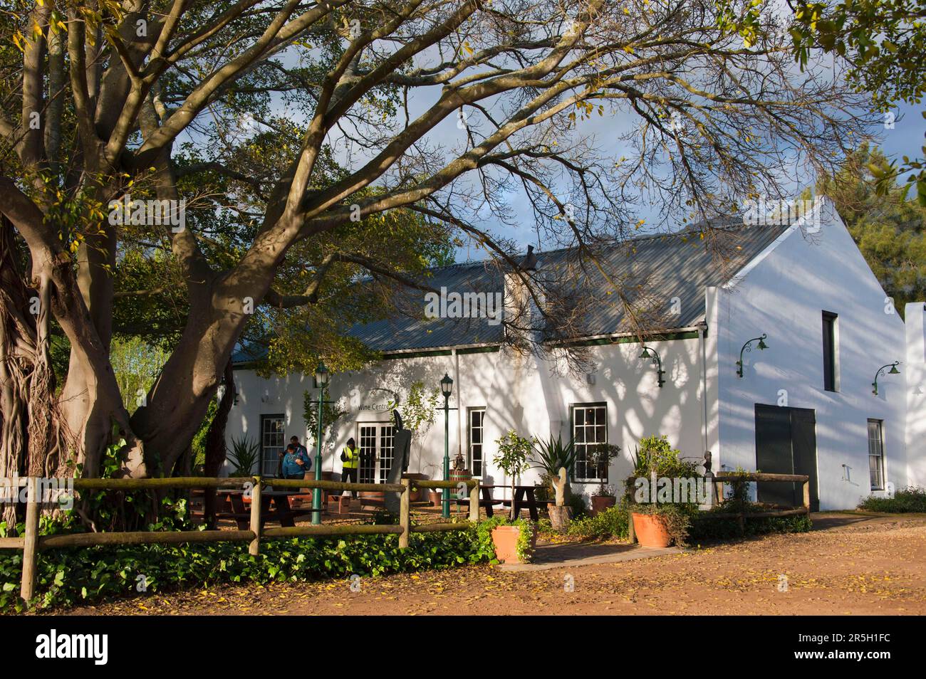 Shop, Wine Estate, Blaauwklippen, Stellenbosch, Western Cape, South Africa Stock Photo