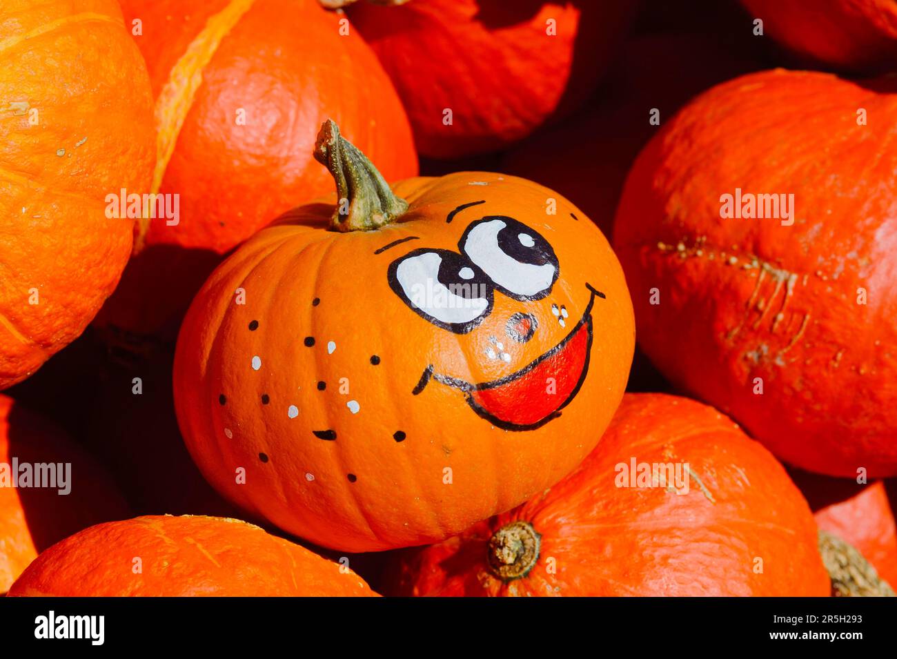Pumpkin with funny face, Pumpkin Stock Photo - Alamy