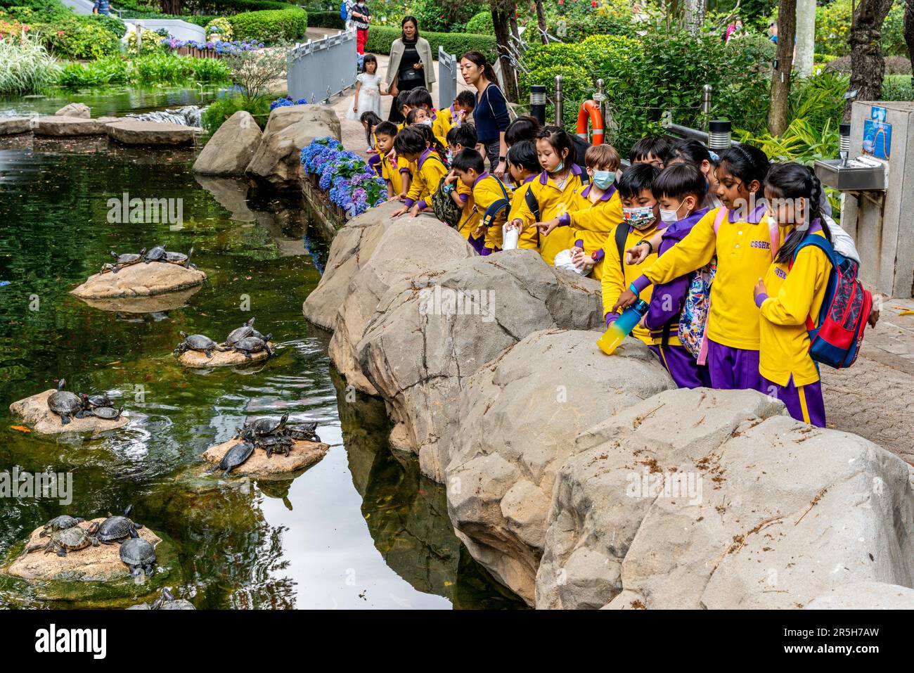 A Group Of School Children On A Visit To Hong Kong Park Looking At The Terrapins, Hong Kong, China. Stock Photo